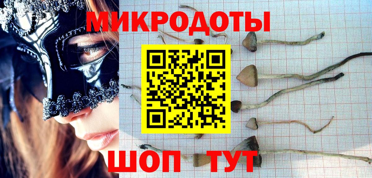 Псилоцибиновые грибы Magic Shrooms  Вход с VPN  Набережные Челны 
